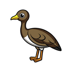  Charming Black-Bellied Bustard Bird Illustration