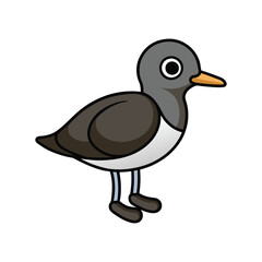  Vivid Black-Bellied Plover Design