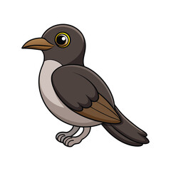  Vivid Black-Billed Cuckoo Bird Representation
