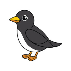  Elegant Black-Breasted Thrush Bird Artwork