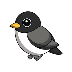  Stunning Black-Capped Becard Bird Representation