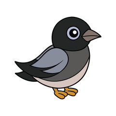  Charming Black-Capped Becard Bird Illustration