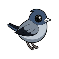  Charming Black-Capped Gnatcatcher Bird Illustration