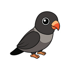  Stunning Black-Cheeked Lovebird Bird Illustration