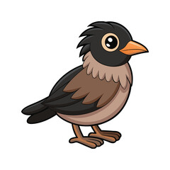  Stunning Black-Chinned Babbler Bird Representation
