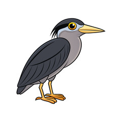  Dynamic Black-Crowned Night Heron Design