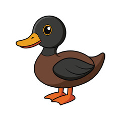  Vibrant Black-Headed Duck Artwork