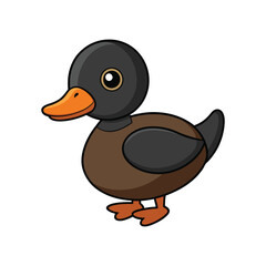  Stunning Black-Headed Duck Design