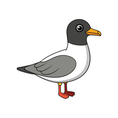  Detailed Black-Headed Gull Depiction