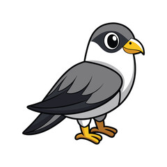  Stunning Black-Shouldered Kite Design