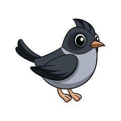  Detailed Black-Tailed Gnatcatcher Depiction