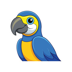  Vibrant Blue-and-yellow Macaw Bird Detailed Illustration