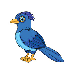  Charming Blue-Headed Coucal Bird Illustration