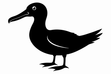 albatross silhouette black silhouette vector