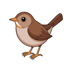  Realistic Booted Warbler Illustration