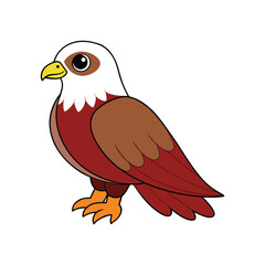  Stunning Brahminy Kite Design