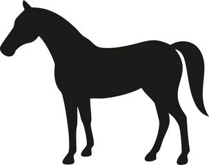 Obraz premium horse silhouette vector