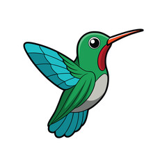  Realistic Broad-billed Hummingbird Bird Illustration