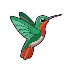  Realistic Broad-tailed Hummingbird Bird Illustration