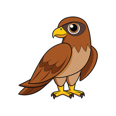  Realistic Broad-winged Hawk Bird Illustration