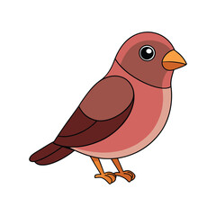  Realistic Brown-capped Rosy Finch Bird Illustration