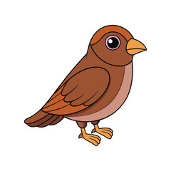  Vibrant Brown-capped Rosy Finch Bird Detailed Illustration