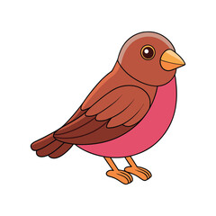  Stunning Brown-capped Rosy Finch Colorful Illustration