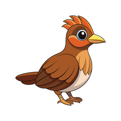  Realistic Brown-crowned Tchagra Bird Illustration