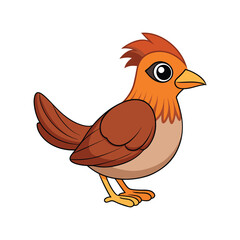  Colorful Representation of Brown-crowned Tchagra