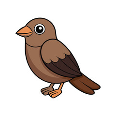  Realistic Brown-headed Cowbird Bird Illustration