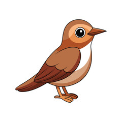  Stunning Brown-headed Nuthatch Colorful Illustration