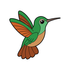  Stunning Buff-Bellied Hummingbird Bird Representation