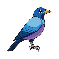  Charming Burchell's Starling Bird Illustration