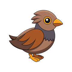  Stunning Bush Petronia Bird Representation