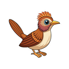  Realistic Cactus Wren Bird Illustration