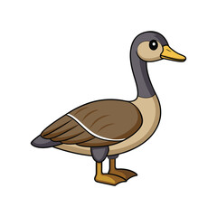  Canada Goose Bird Realistic Illustration