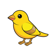  Canary-Winged Finch Bird Illustration