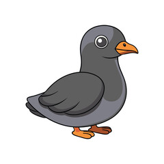  Realistic Cassin's Auklet Bird Artwork