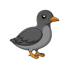  Vivid Cassin's Auklet Bird Design