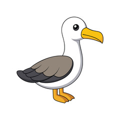  Vivid Chatham Albatross Bird Illustration