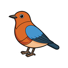  Charming Chestnut-bellied Rock Thrush Bird Illustration
