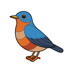  Vivid Chestnut-bellied Rock Thrush Artwork