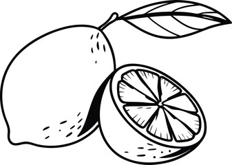 vector illustration of a lemon