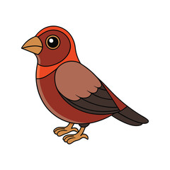  Stunning Chestnut Munia Bird Representation