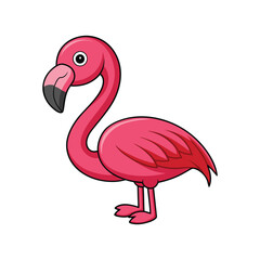  Stunning Chilean Flamingo Bird Representation