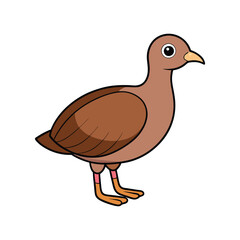  Stunning Chilean Tinamou Bird Representation