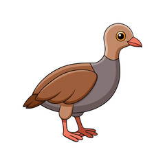  Charming Chilean Tinamou Bird Illustration
