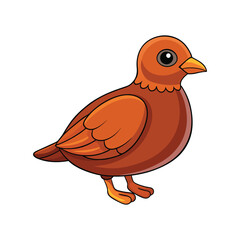  Charming Chinese Bamboo Partridge Bird Illustration