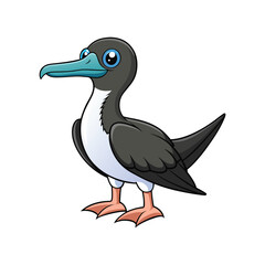  Stunning Christmas Frigatebird Bird Design