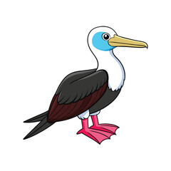  Charming Christmas Frigatebird Bird Illustration